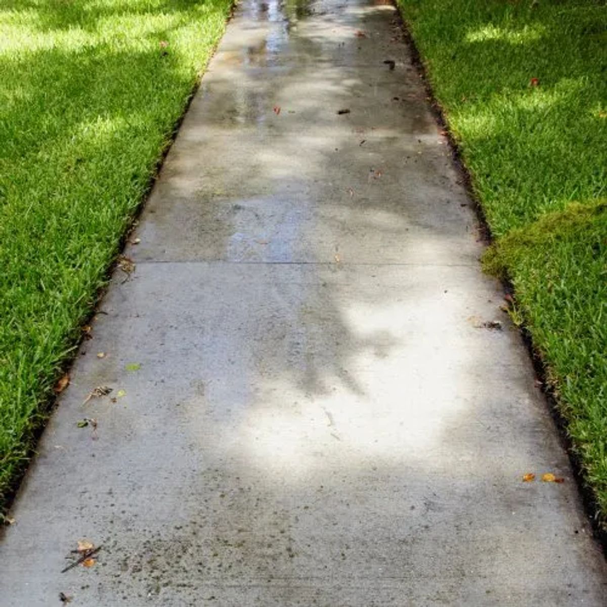 Transform Your Driveway: The Complete Guide to Professional Driveway Cleaning
