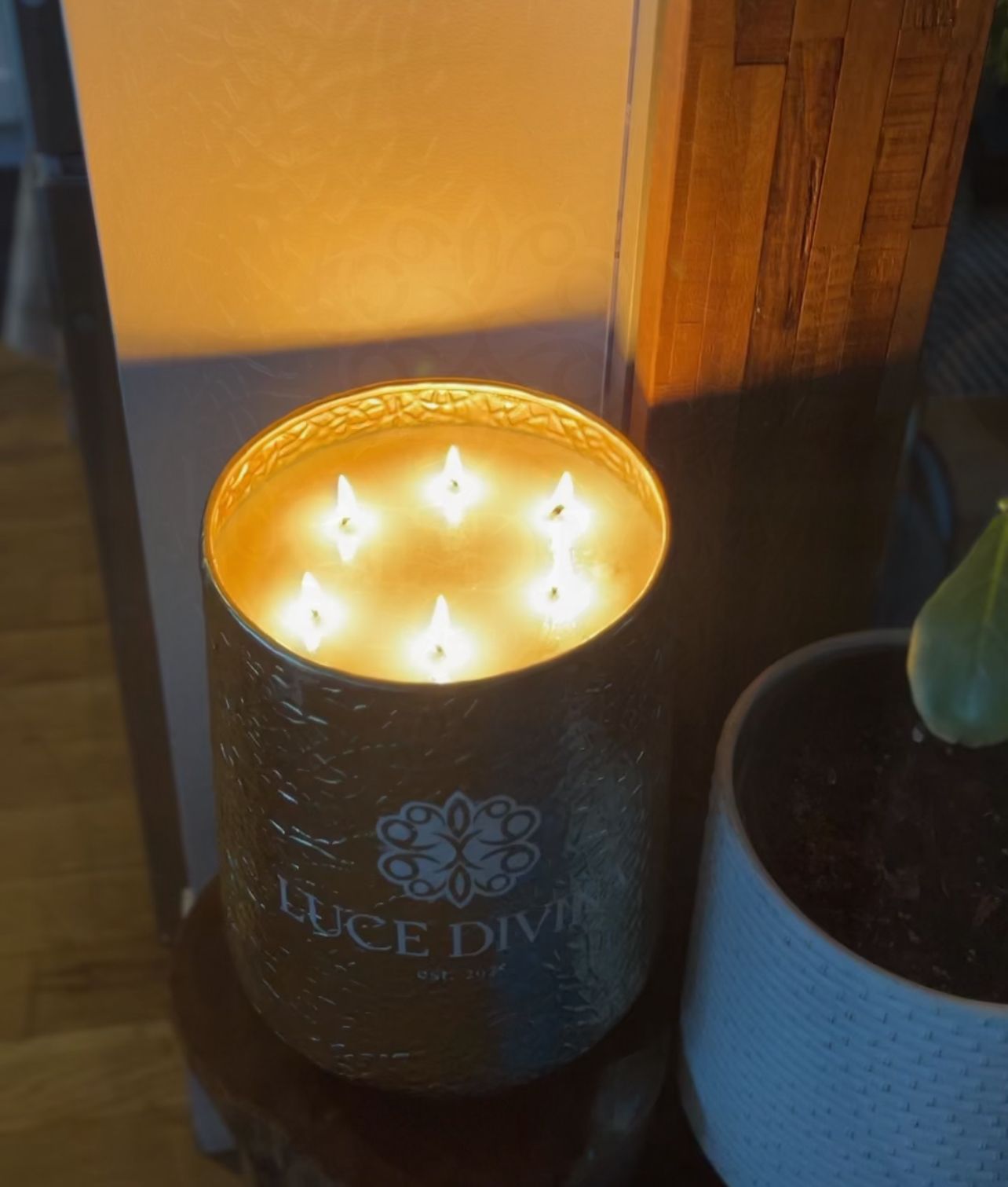 Photo by Andrew Pagliara