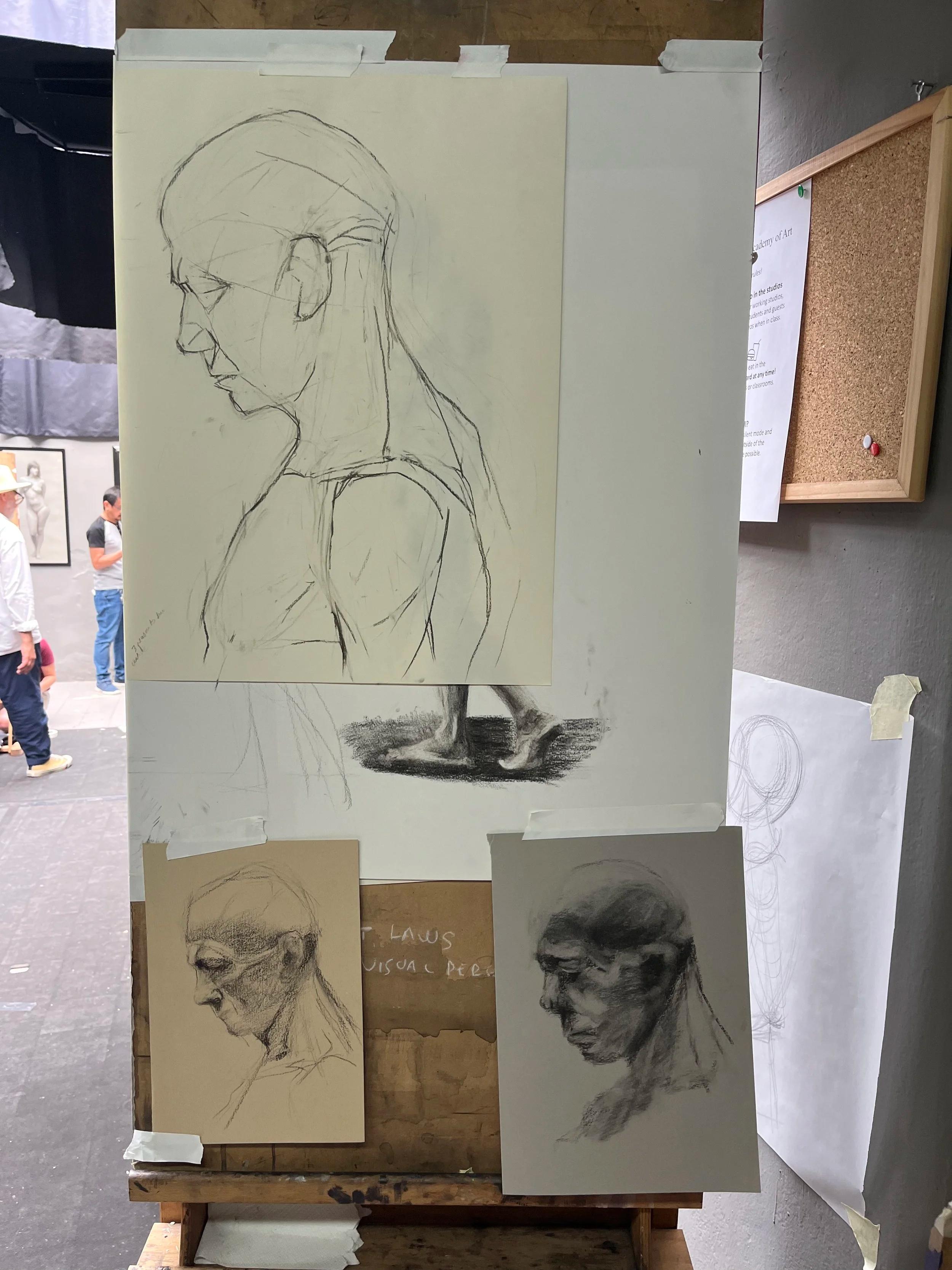 Stefano, FAA MA Portrait studies