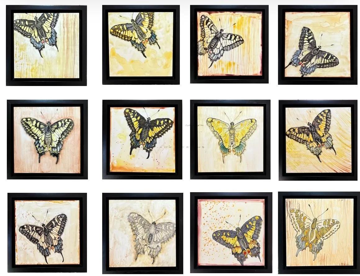 Butterfly- ink & watercolor