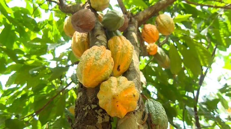 WEEKLY FINANCIAL MARKET REPORT AS OF 13TH FEBRUARY 2026