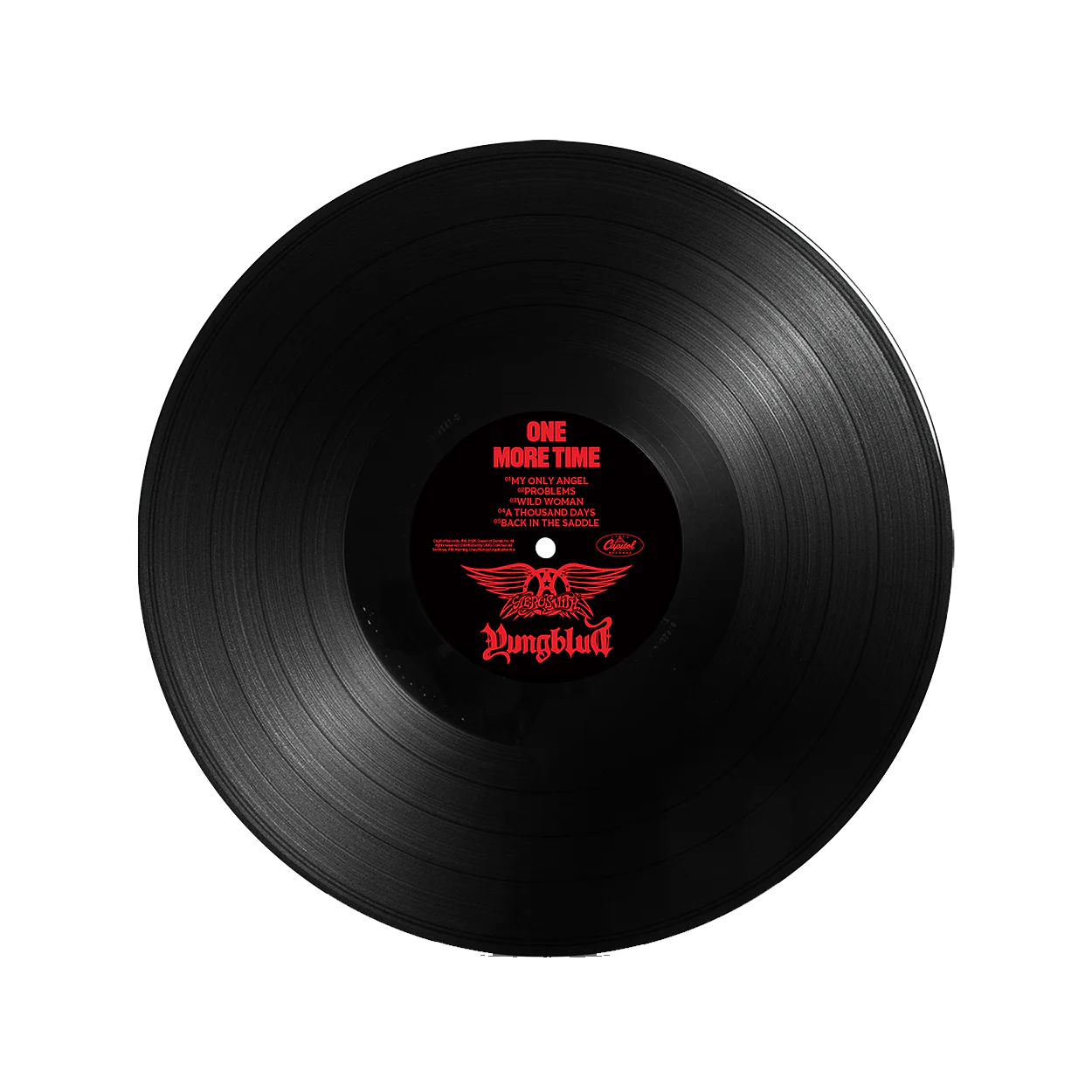 CD or Vinyl for Let's Go Surfing by The Drums