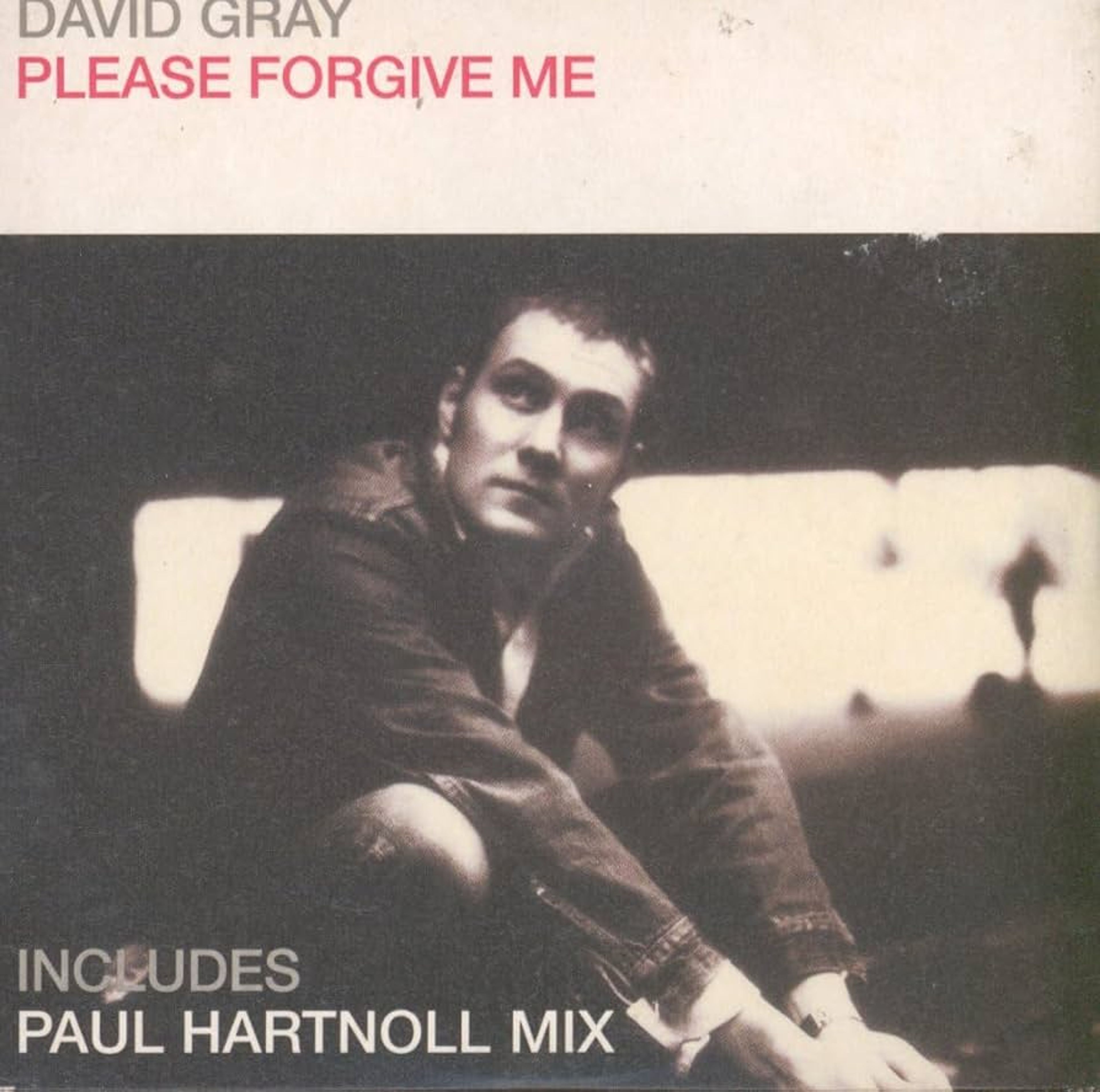 Artwork for Please Forgive Me by David Gray 