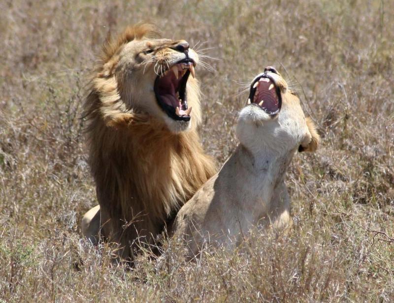 Bernie Kelly — IMG_0130