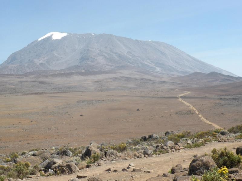 Bernie Kelly — IMG_0147 (1)