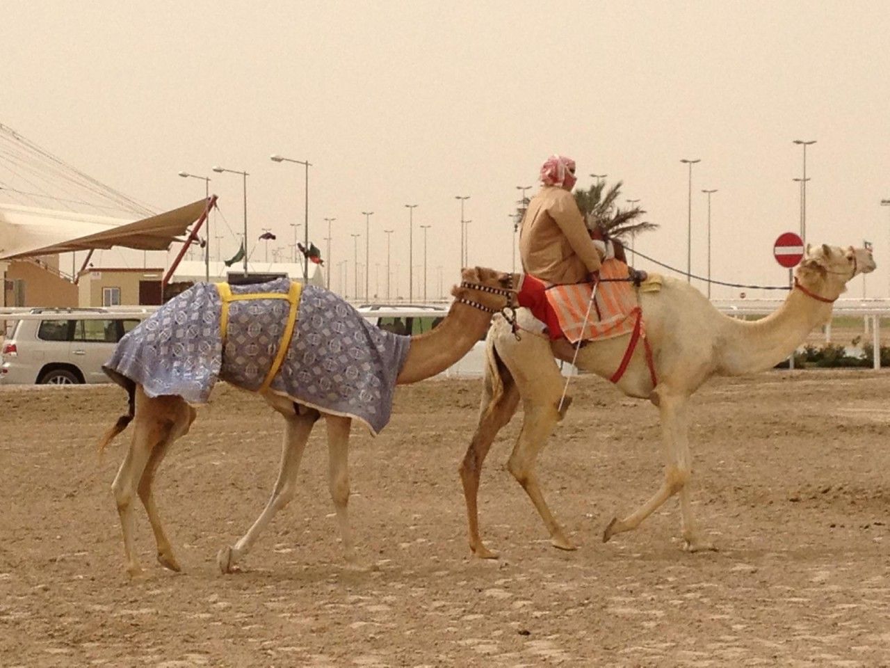 From Merry-Go-Round to Meaningful Building a Coaching Practice in the Middle East — Part 3 of 3