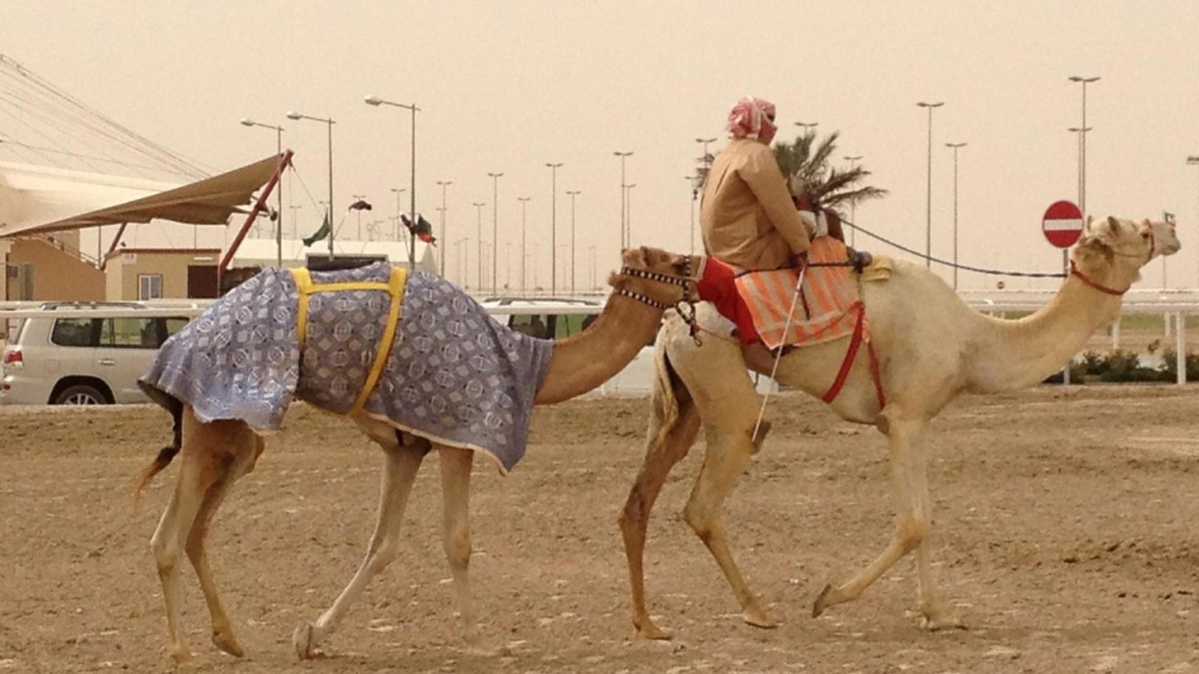 From Merry-Go-Round to Meaningful Building a Coaching Practice in the Middle East — Part 3 of 3