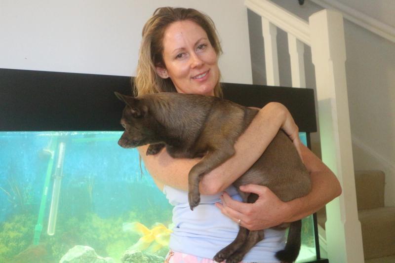 Hayley Wilson: Too Motivated to Succeed — When Drive Becomes an Obstacle