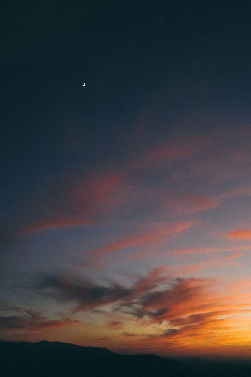 Robert Stephenson: Business Recovery — Coaching Organisations Back to Strength