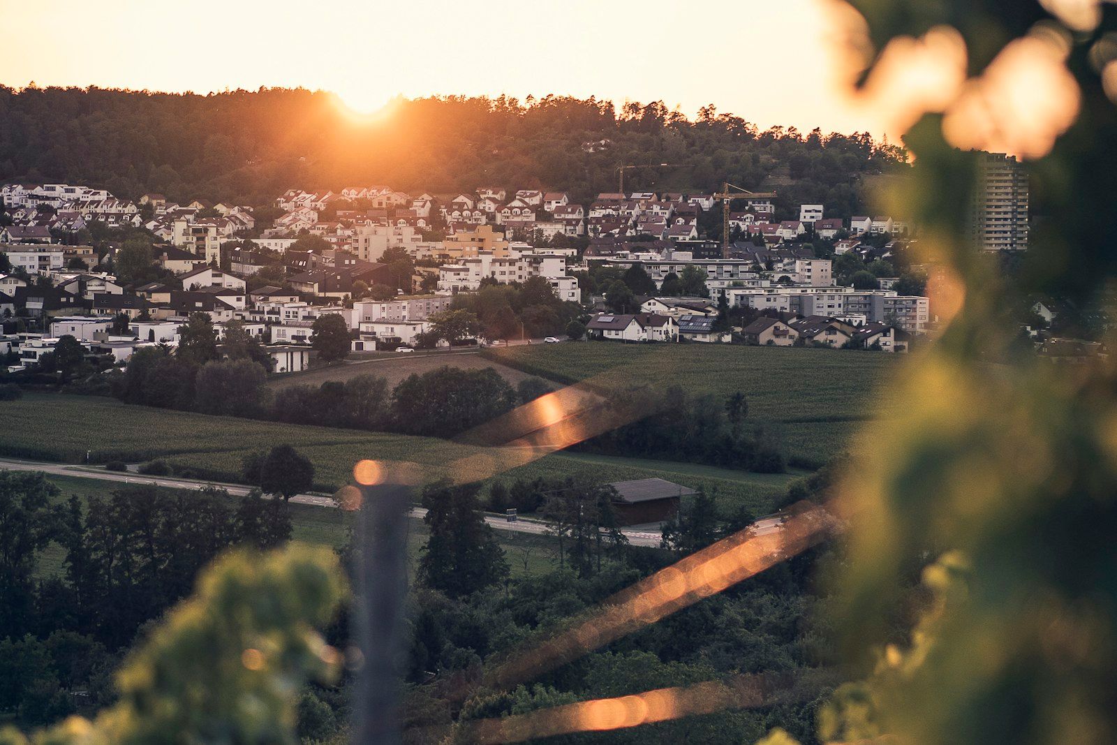 Stuttgart city and green hills at sunset for a film location guide