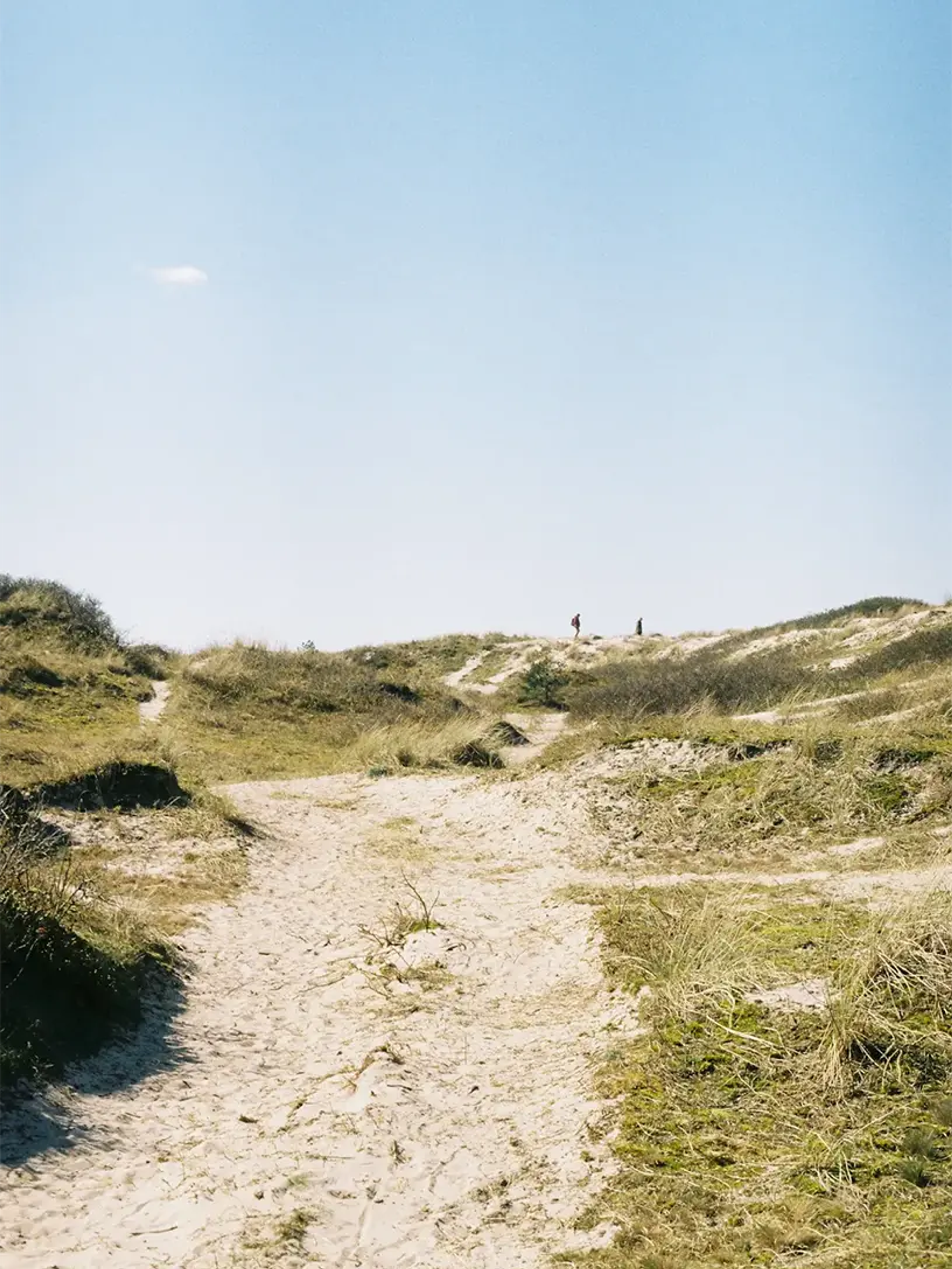 En sandstrand tilgængelig via en jordsti.