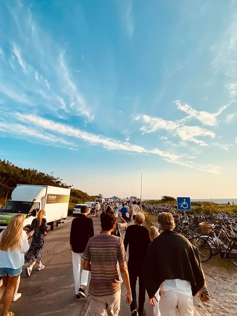 Et græsklædt tag på et sommerhus.