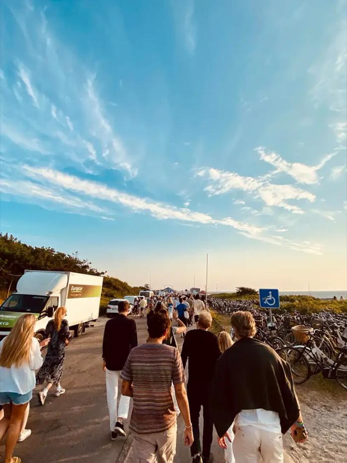 Et græsklædt tag på et sommerhus.