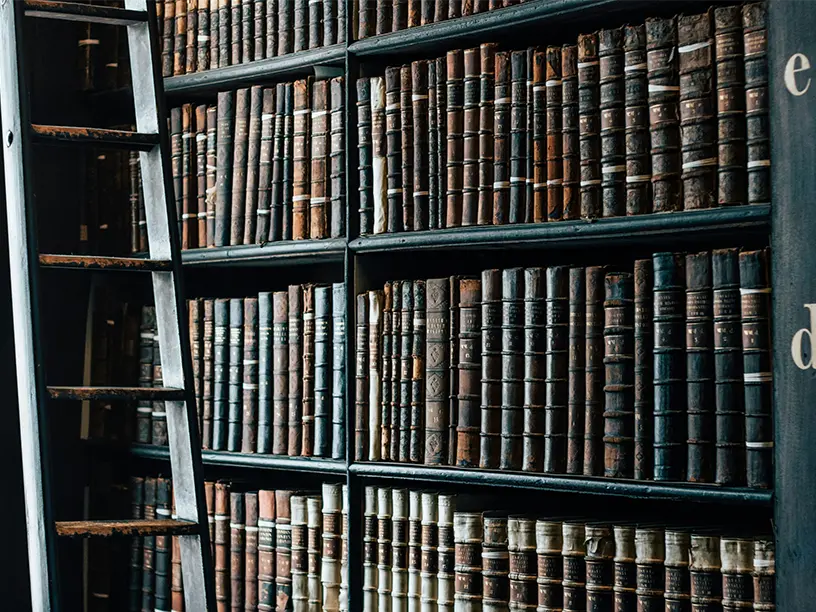 Gamle læderindbundne bøger på reoler i et bibliotek med stige.