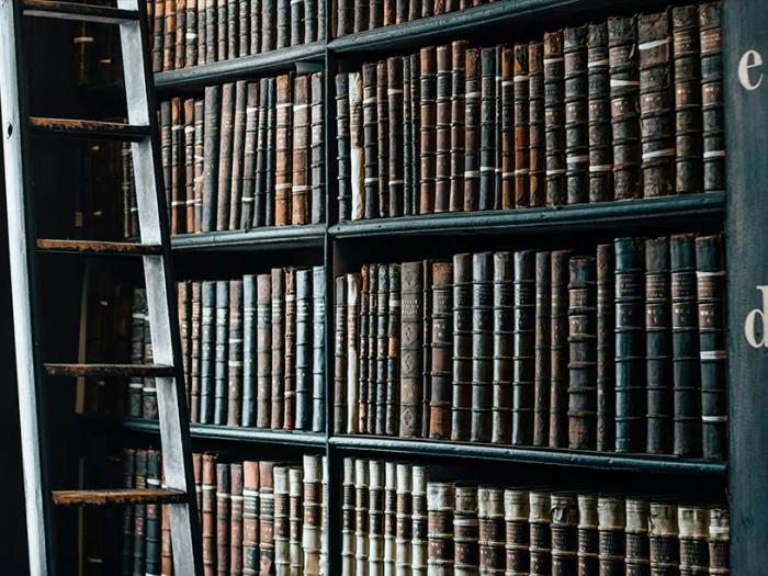 Gamle læderindbundne bøger på reoler i et bibliotek med stige.