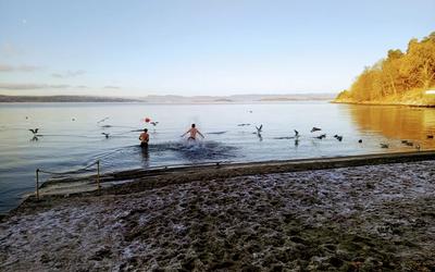 Oslo Badstuforening - Hvervenbukta sauna