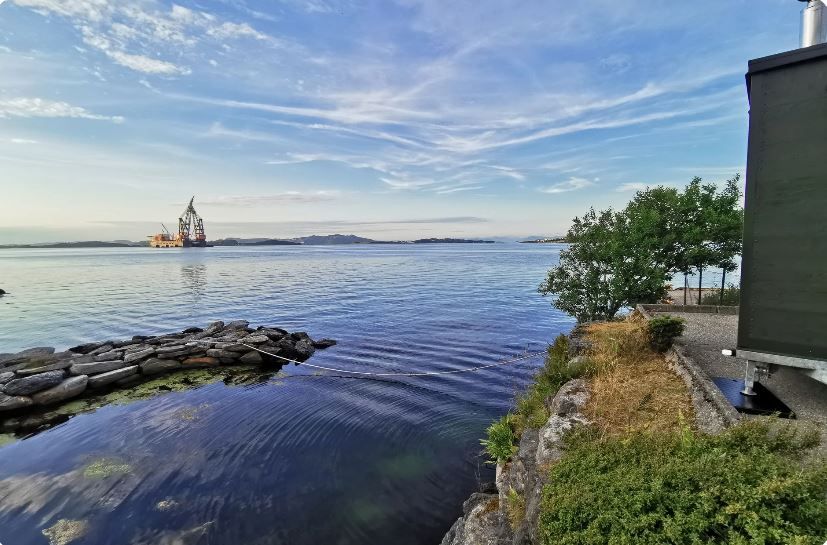 Rast Sauna - Tasta