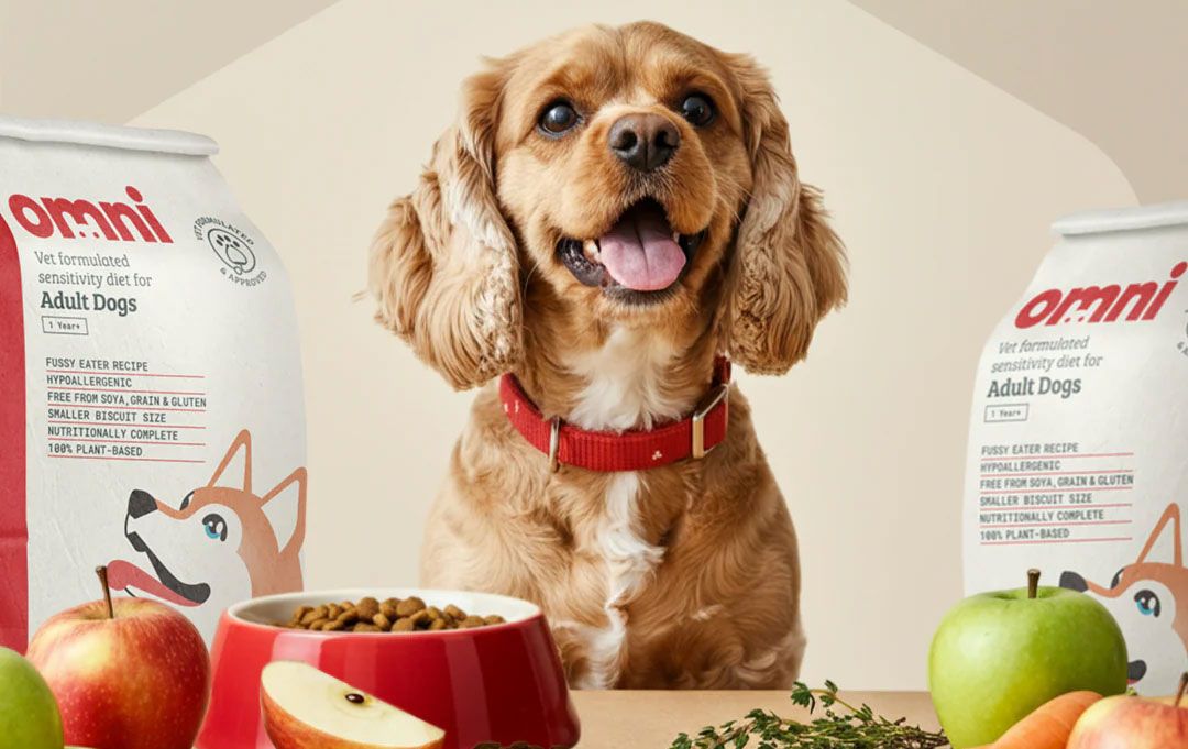 Omni raises £11m Series A to fund US entry and an "Ozempic-style" dog supplement