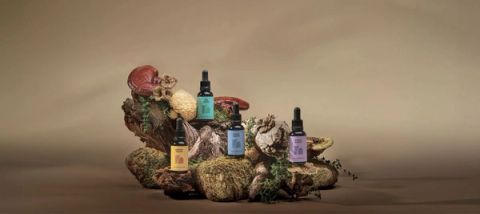 The Herbtender launches four organic adaptogen drops built for daily rituals