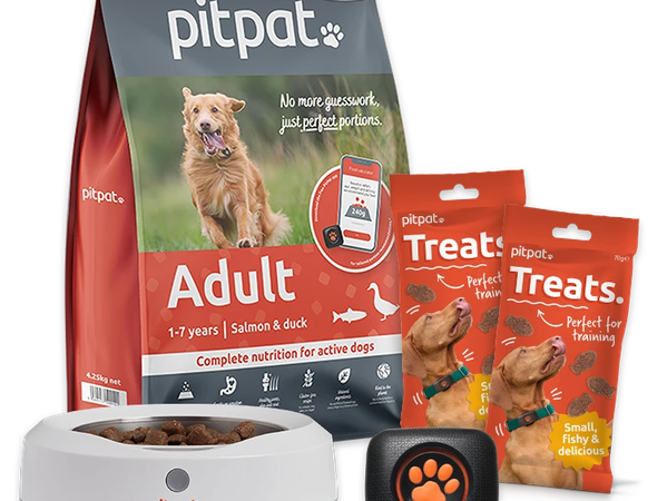 PitPat