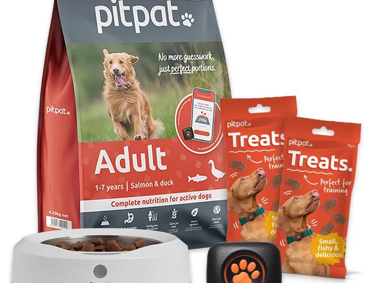 PitPat
