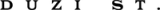 Duzi