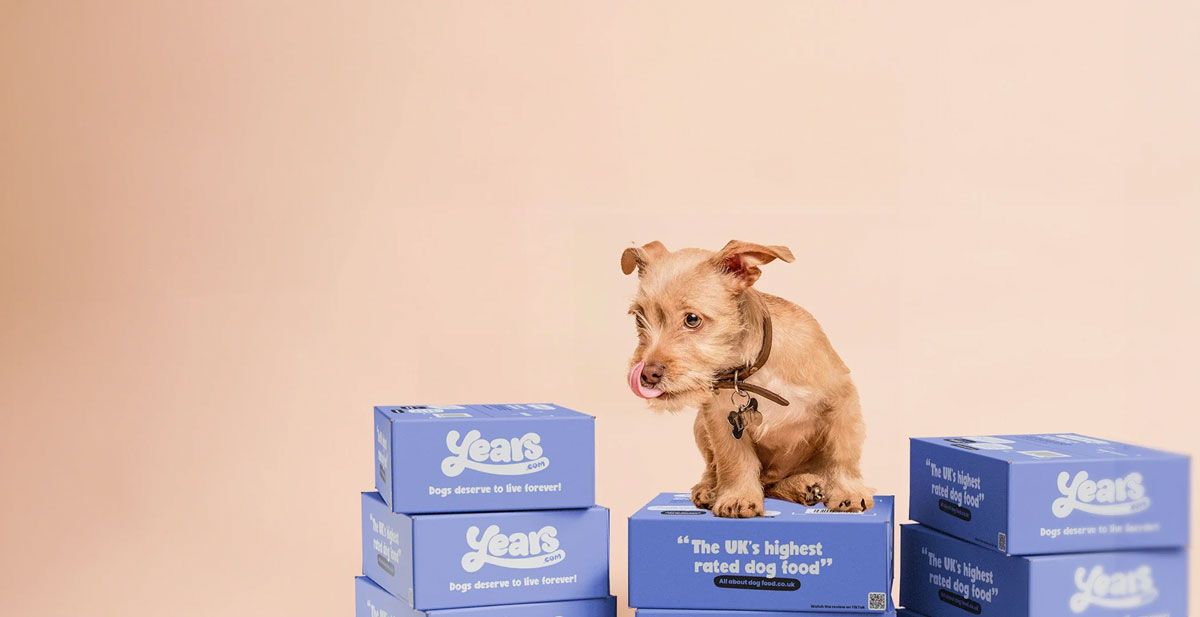 Years raises multimillion-pound round to take shelf-stable fresh dog food into retail