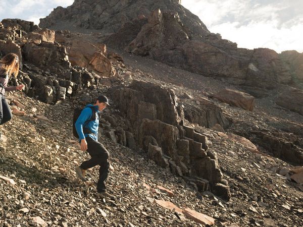 Montane