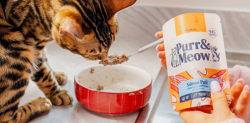 Purr & Meow debuts major rebrand and new recipes