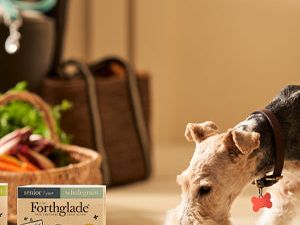 Forthglade