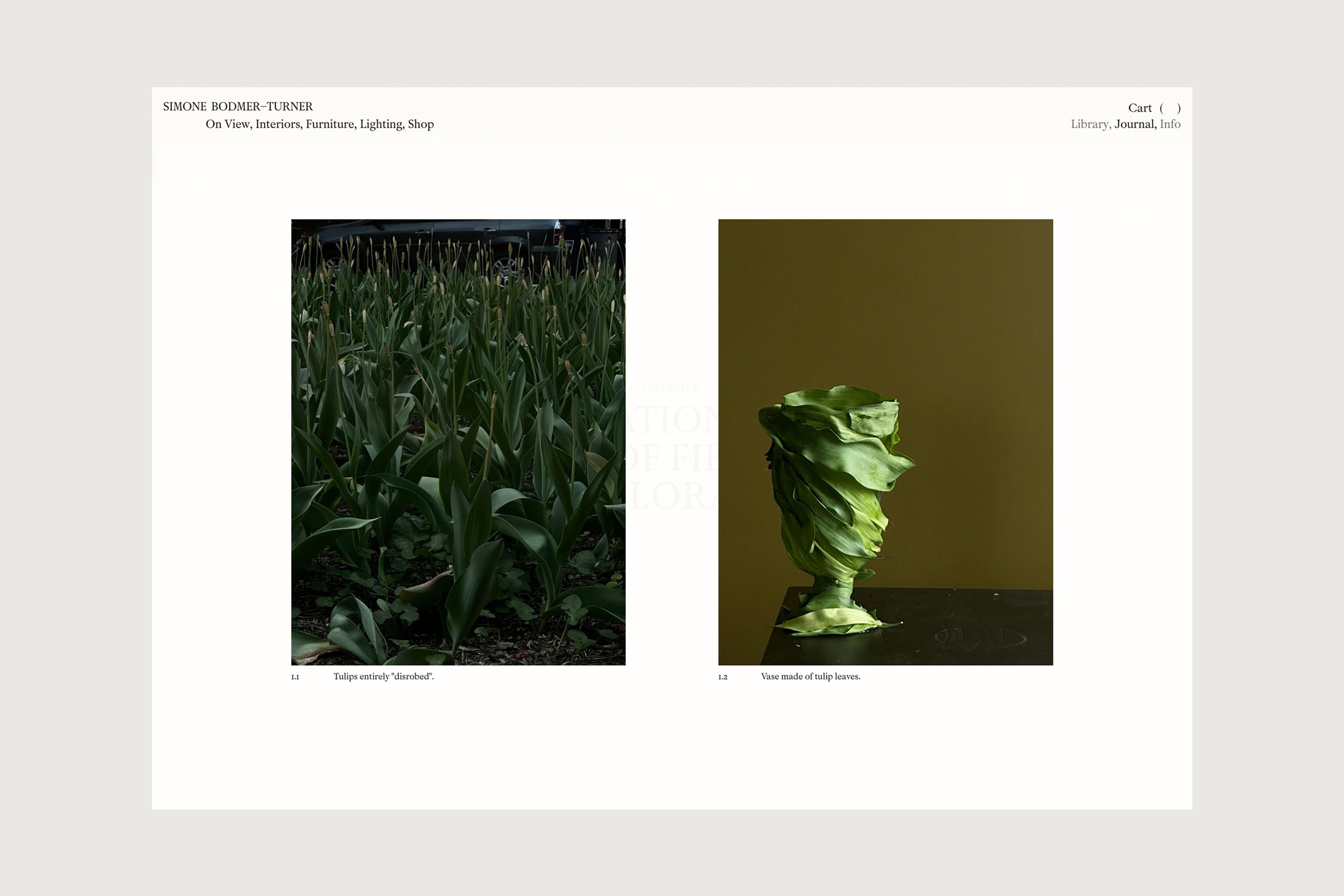 Simone Bodmer-Turner Journal with Field Studies Flora