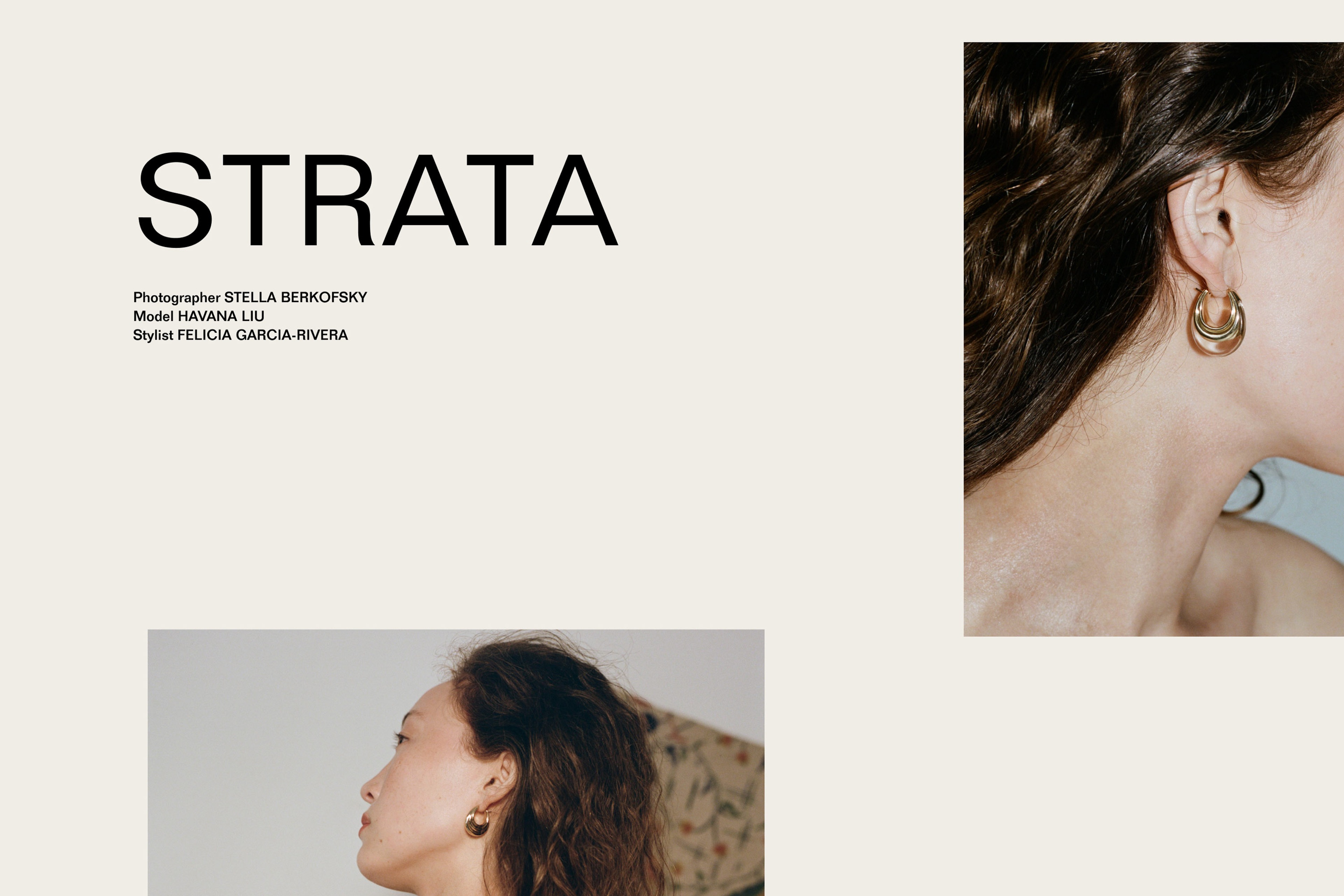 Website, Strata Lookbook