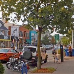 Buffalo- Elmwood Village (photo courtesy of Be in Buffalo)