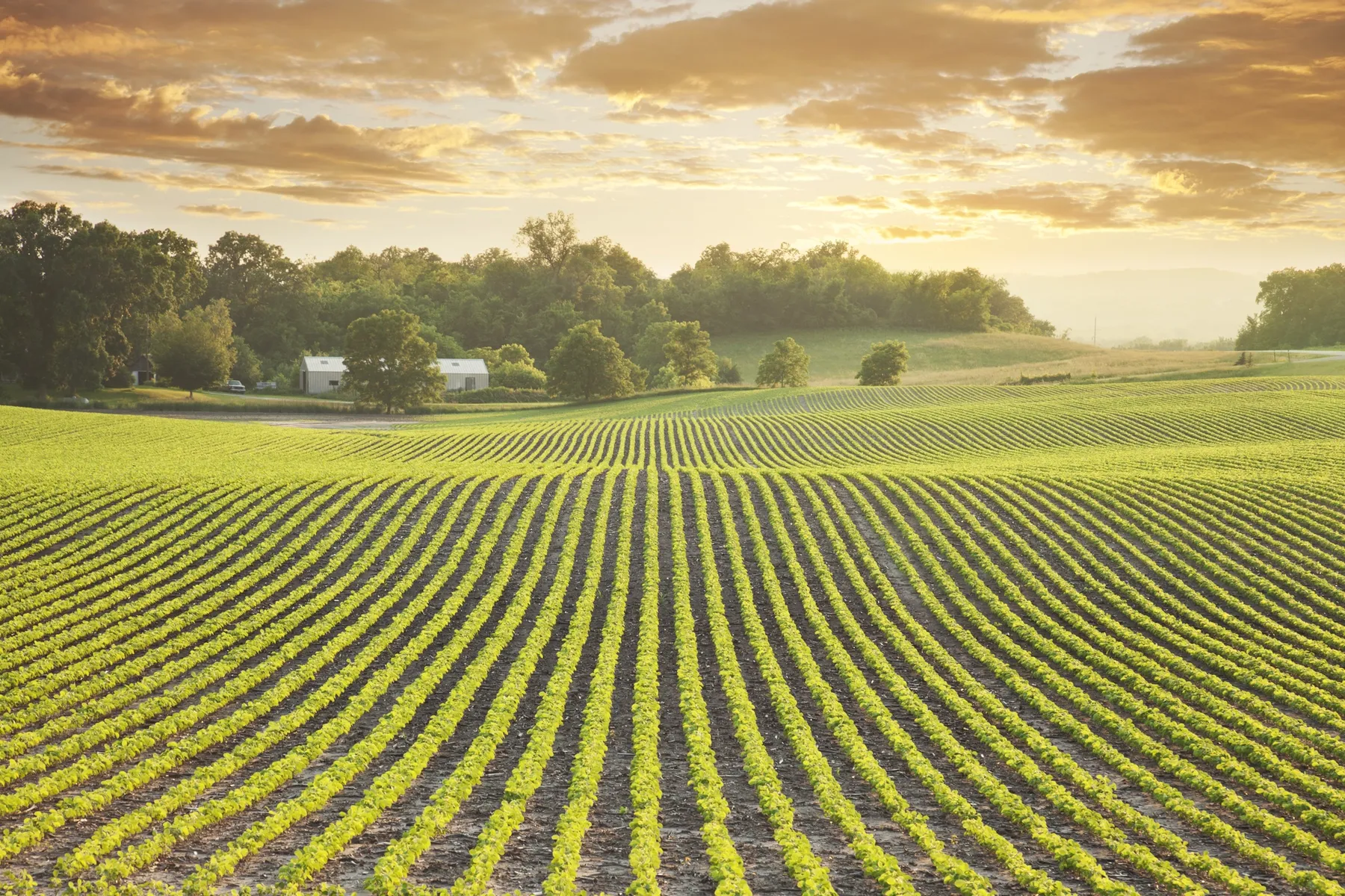 Get paid to live in Janesville, Minnesota