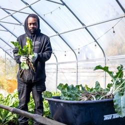 Oakland Avenue Urban Farm in Detroit (Credit: City of Detroit)