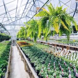 Gilmore Garden Center