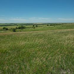 The open prairie offers stunning views and a peaceful retreat.