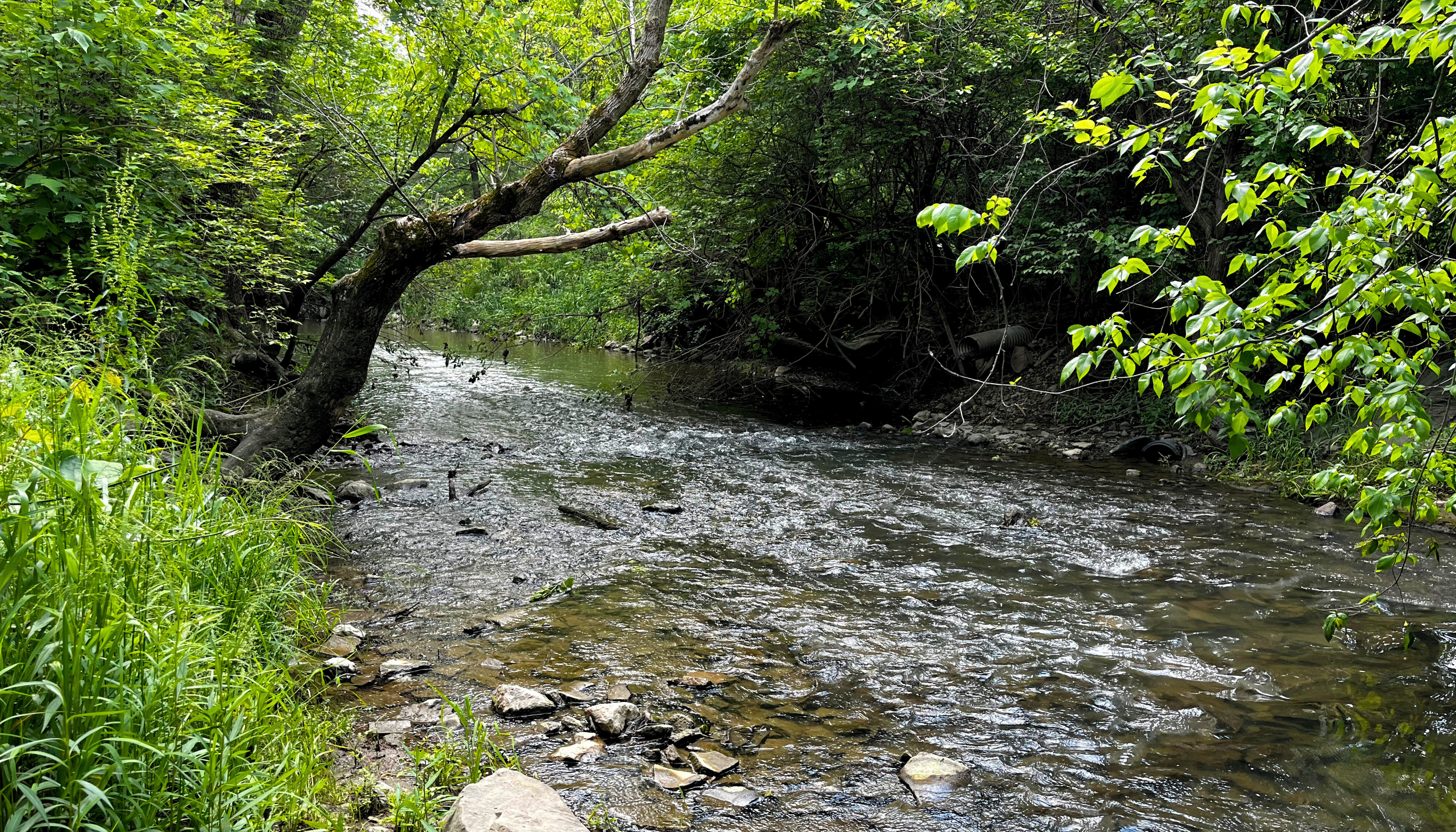 Life in Cumberland, Indiana