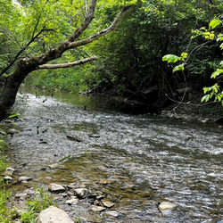 Buck Creek (Credit: Town of Cumberland)
