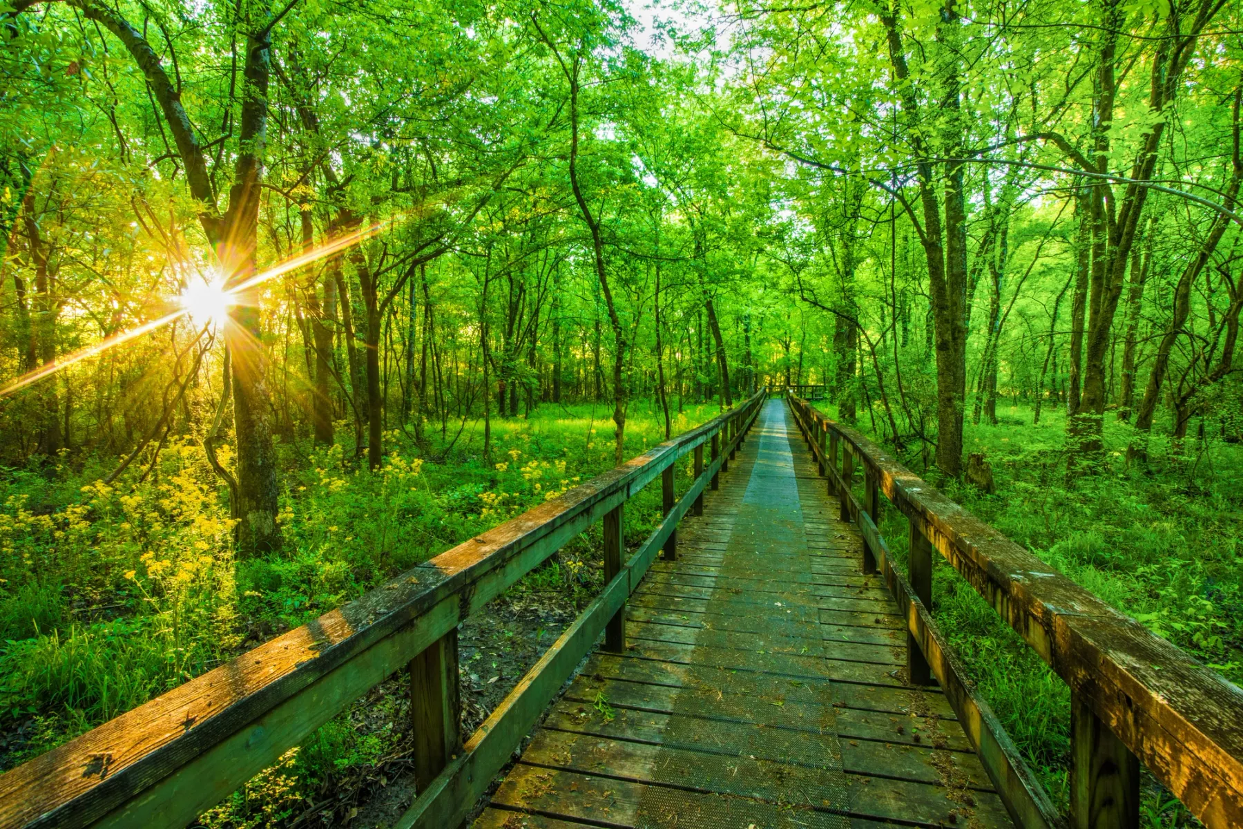 Get paid to live in Natchez, Mississippi
