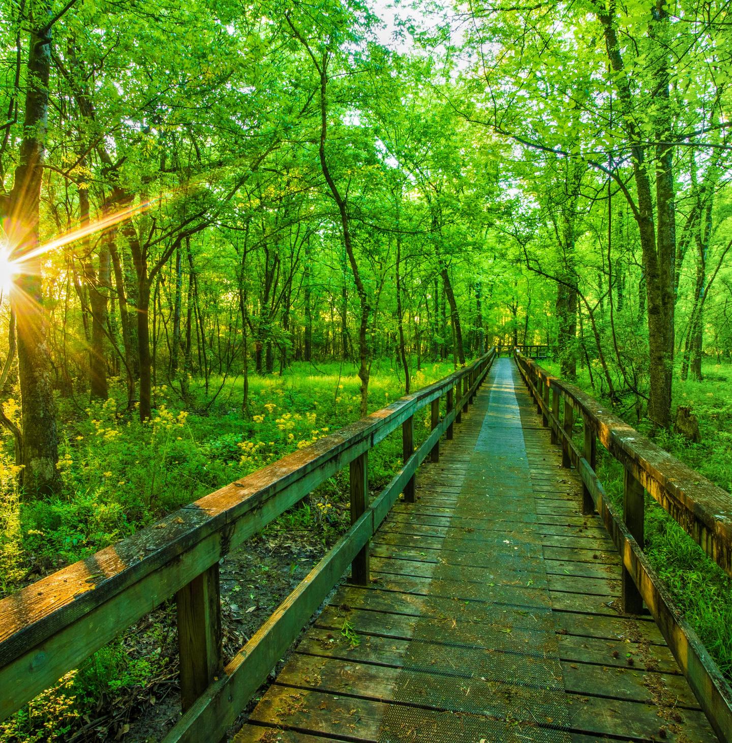 Get paid to live in Natchez, Mississippi