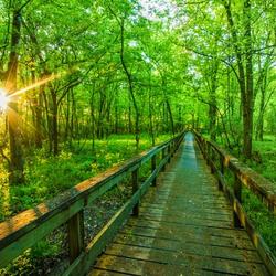 Get paid to live in Natchez, Mississippi