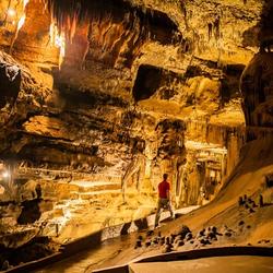 Wyandotte Caves