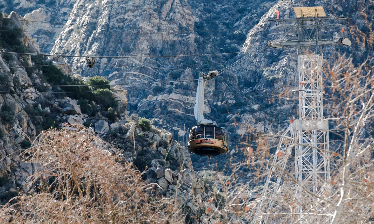 The Palm Springs Aerial Tramway makes an eight-minute ascent from the desert floor to a peak mountain station.