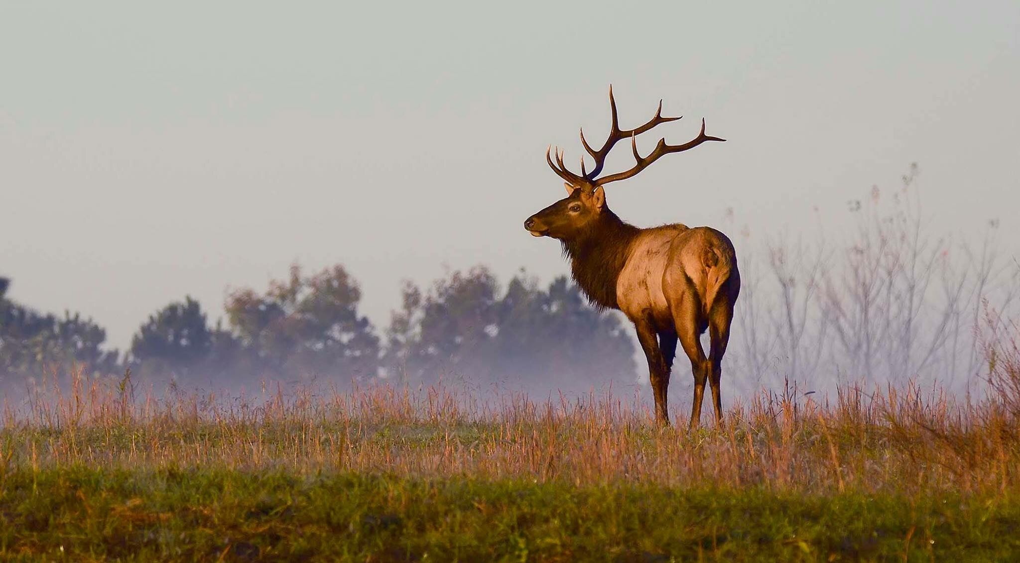 Life in Country Music Highway, Kentucky