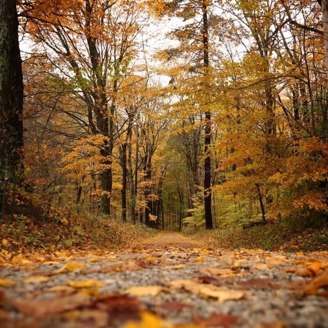 Life in Connersville, Indiana