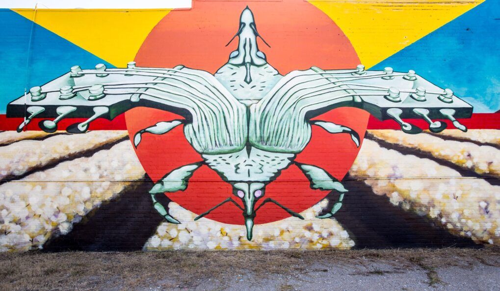 Life in West Memphis, Arkansas