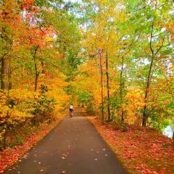 Allegany River Valley Trail (Credit: John F.)