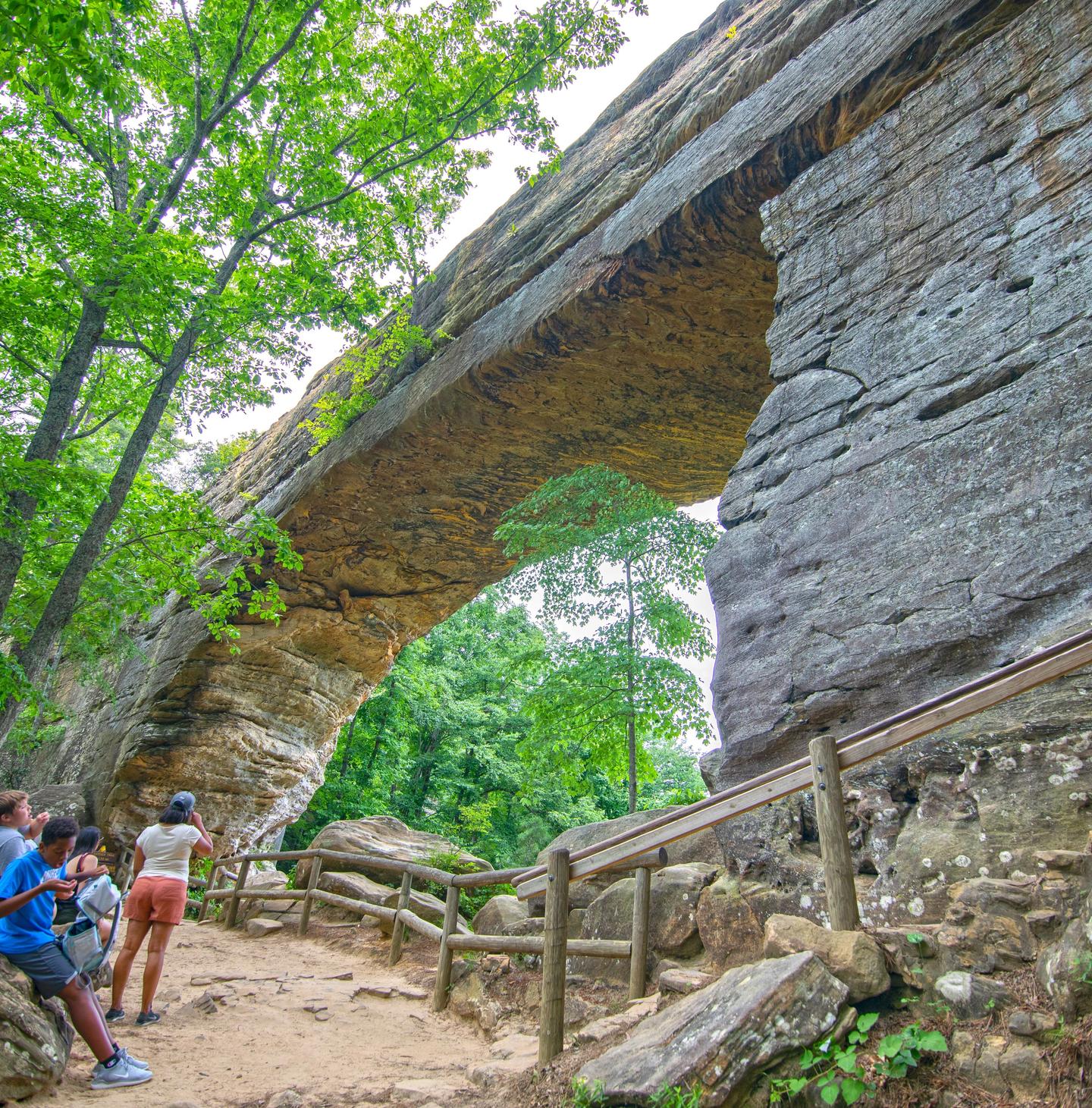 Natural Bridge State Resort Park