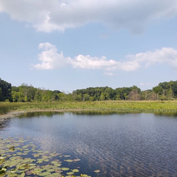 Pokagon State Park